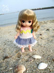 20090701-1.jpg