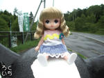 20090805-2.jpg