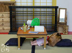 20090824-1.jpg