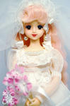20091105-2.jpg