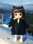 20100105-1.jpeg