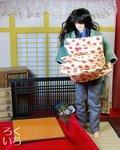 20100425-5.jpeg