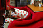 20100426-2.jpeg
