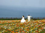 20100601-2.jpeg