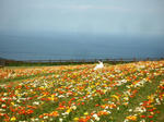 20100601-4.jpeg