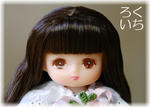 20110123-6.jpeg