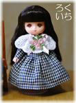 20110123-2.jpeg