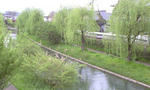 bd5bcc46.jpeg