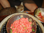 DSC01009.JPG