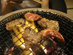 DSC01013.JPG