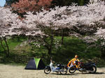 DSC03923.JPG