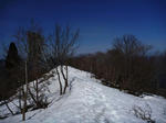 P1030153.JPG