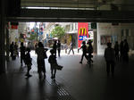 IMG_1731.jpg