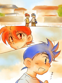 seiba13.JPG