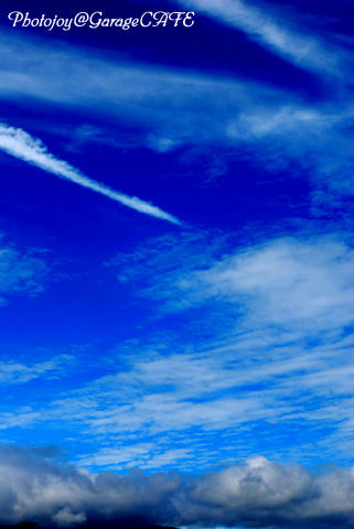 DSC_8841_01.jpg
