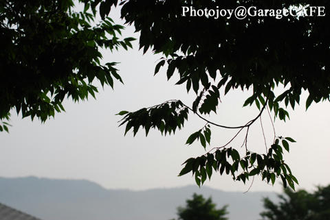 PJ_DSC_9203.jpg