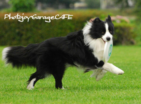 PJ_DSC_9358.jpg