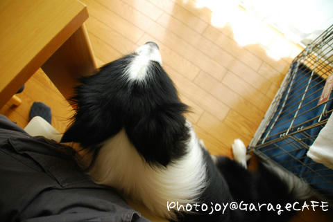 PJ_DSC_9592.jpg