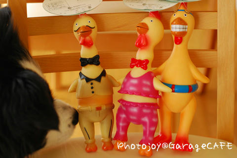PJ_DSC_9344.jpg