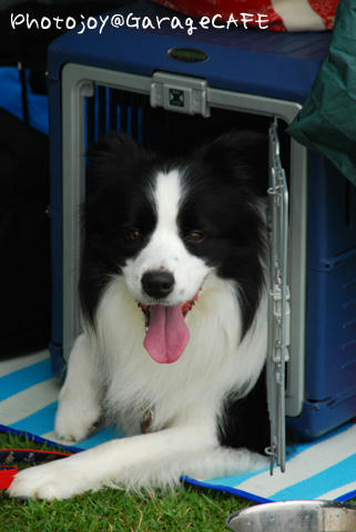 PJ_DSC_9802.jpg