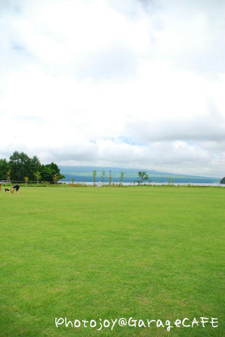 PJ_DSC_9985.jpg