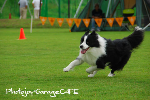 PJ_DSC_9819.jpg