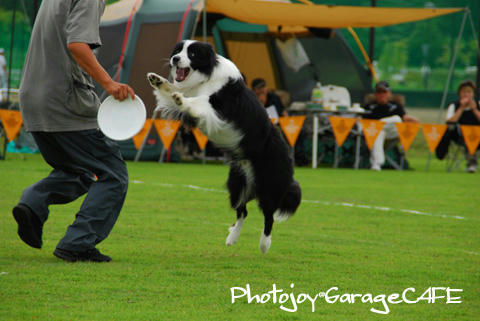 PJ_DSC_9824.jpg