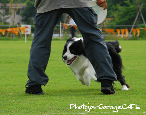 PJ_DSC_10047.jpg