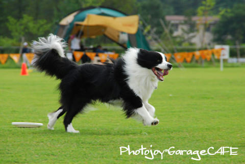 PJ_DSC_10060.jpg