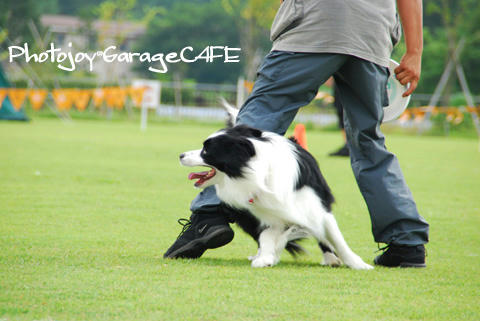 PJ_DSC_10063.jpg