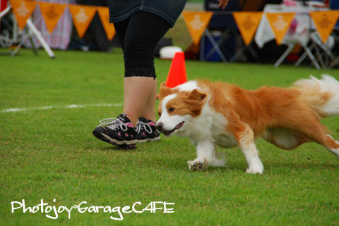 PJ_DSC_9940.jpg
