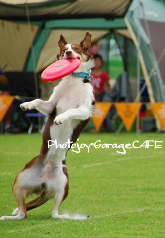 PJ_DSC_9997.jpg