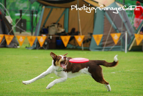 PJ_DSC_10001.jpg