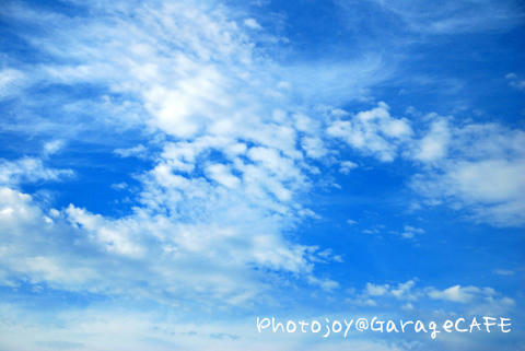 PJ_DSC_10351.jpg