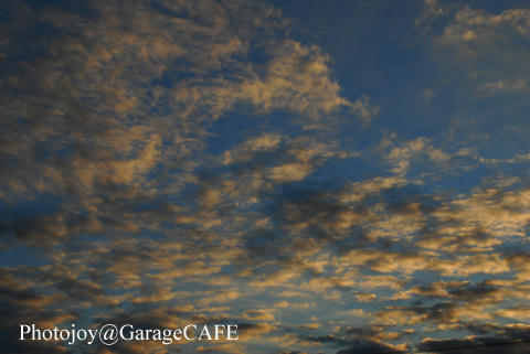 PJ_DSC_10406.jpg