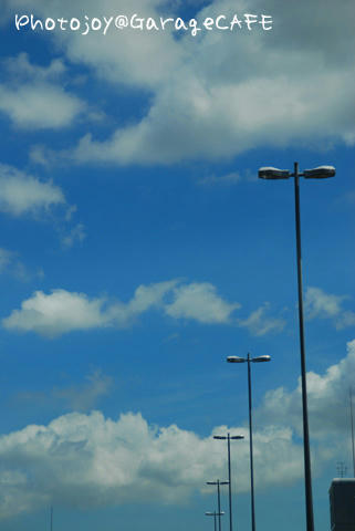 PJ_DSC_10469.jpg