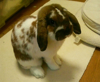 cda05f0d.jpeg
