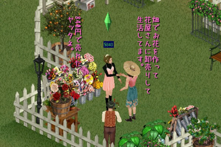 sim58.png