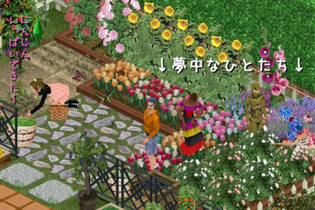 sim61.png