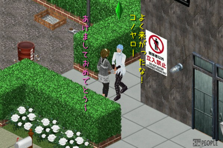 sim96.png
