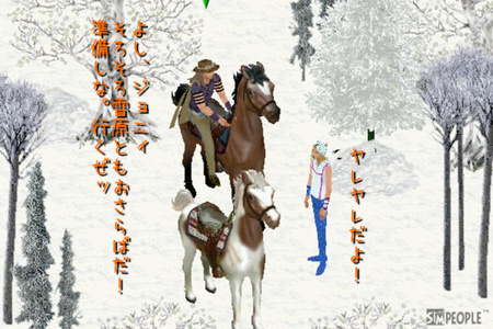 sim112.png