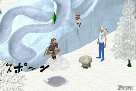 sim116.png