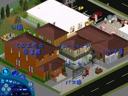 sim150.jpg