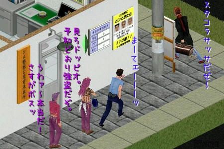 sim133.jpg