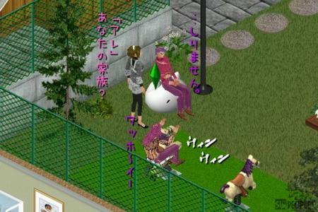 sim135.jpg