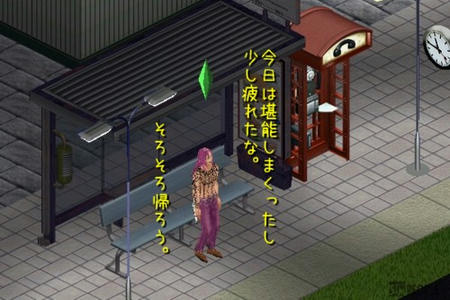 sim144.jpg