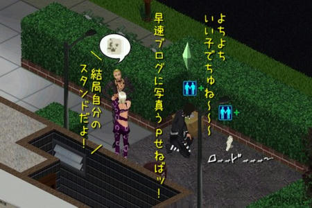sim160.jpg