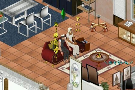sim181.jpg