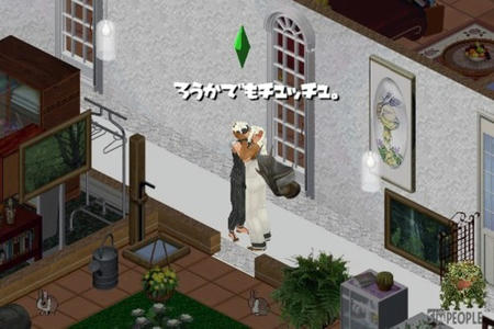 sim187.jpg