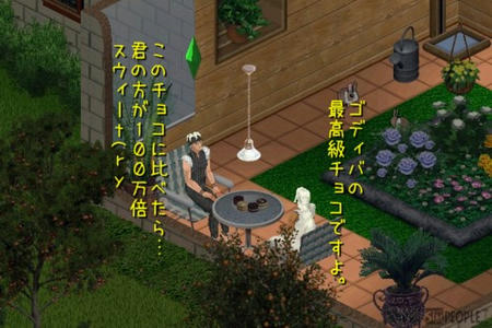 sim191.jpg